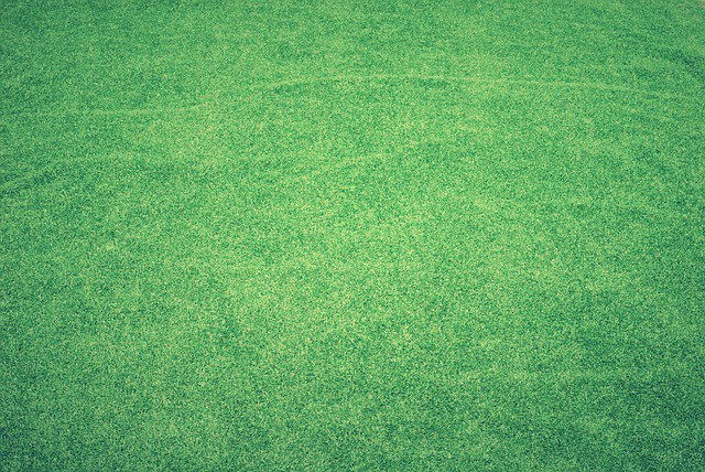lawn-1846813_640.jpg